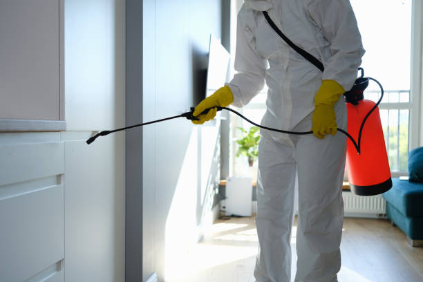Best Commercial Mold Remediation in Athens, TN