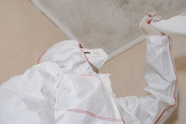 Best HVAC Mold Remediation in Athens, TN